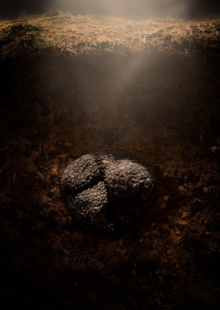 Collection 80 photo by Daniele D'agostino