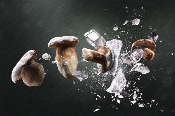 Collection 51 photo by Daniele D'agostino