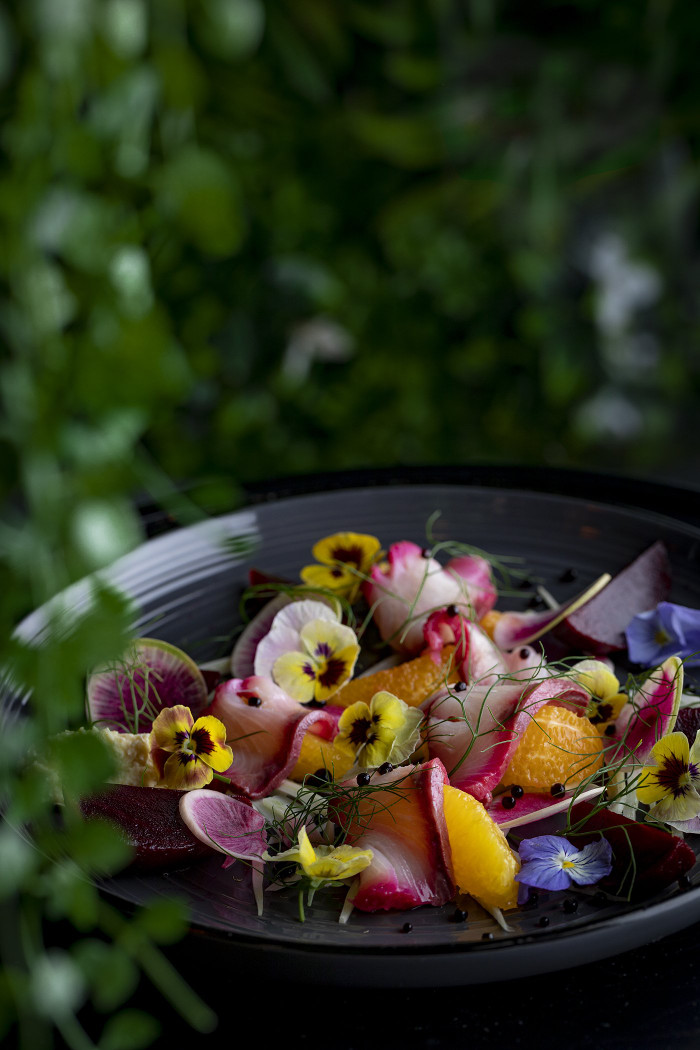 Collection 44 photo by Emma Sheldrake
