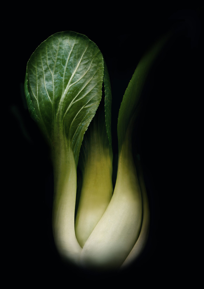 Collection 53 photo by Anne Mason-hoerter