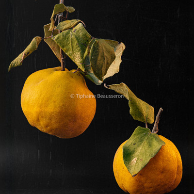 Foto de galería 3