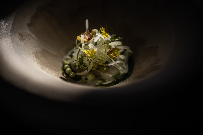 Collection 63 photo by Pieter D'hoop