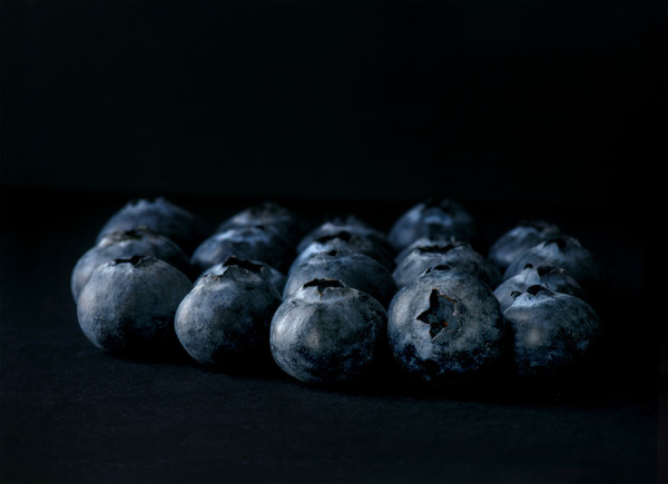 Collection 49 photo by Deborah Lee Rossiter