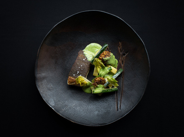 Collection 54 photo by Sonya Metzler