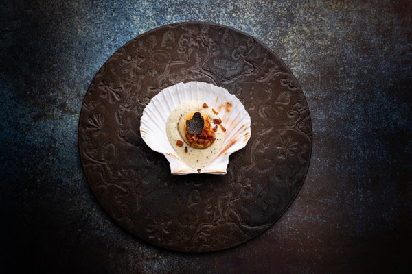 Collection 65 photo by Sonya Metzler