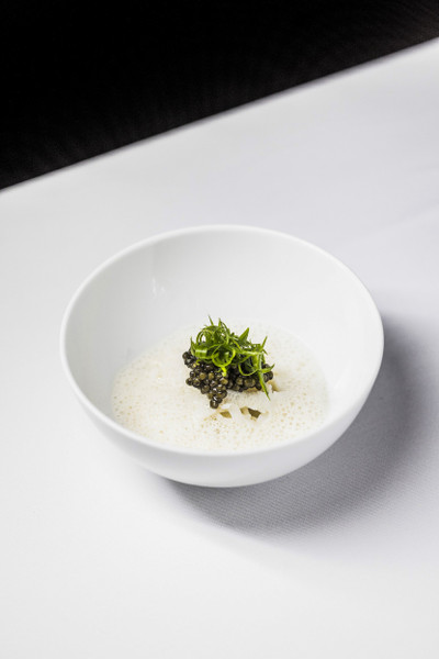 Collection 104 photo by Jesper Rais