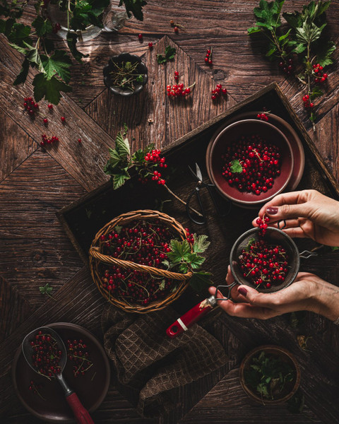 Collection 119 photo by Sylwia Vaclavek