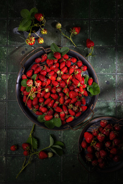 Collection 128 photo by Victoria Kondysenko