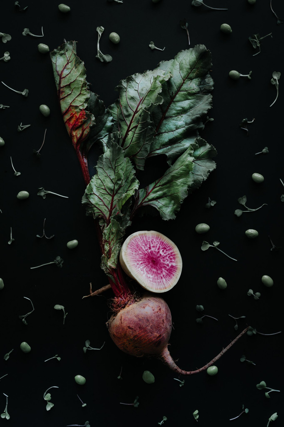 Collection 18 photo by Gary Bearre