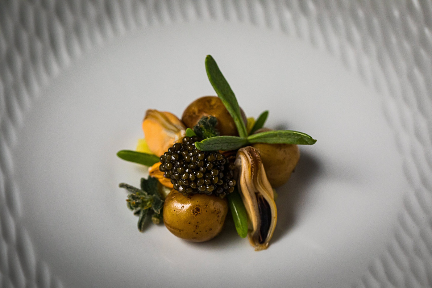 Collection 47 photo by Lyan van Furth