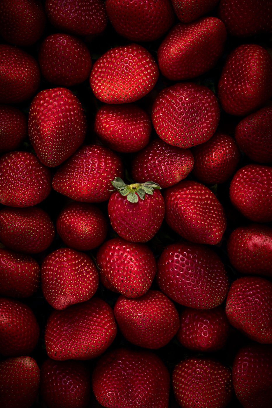 Collection 55 photo by Sharon Cosgrove