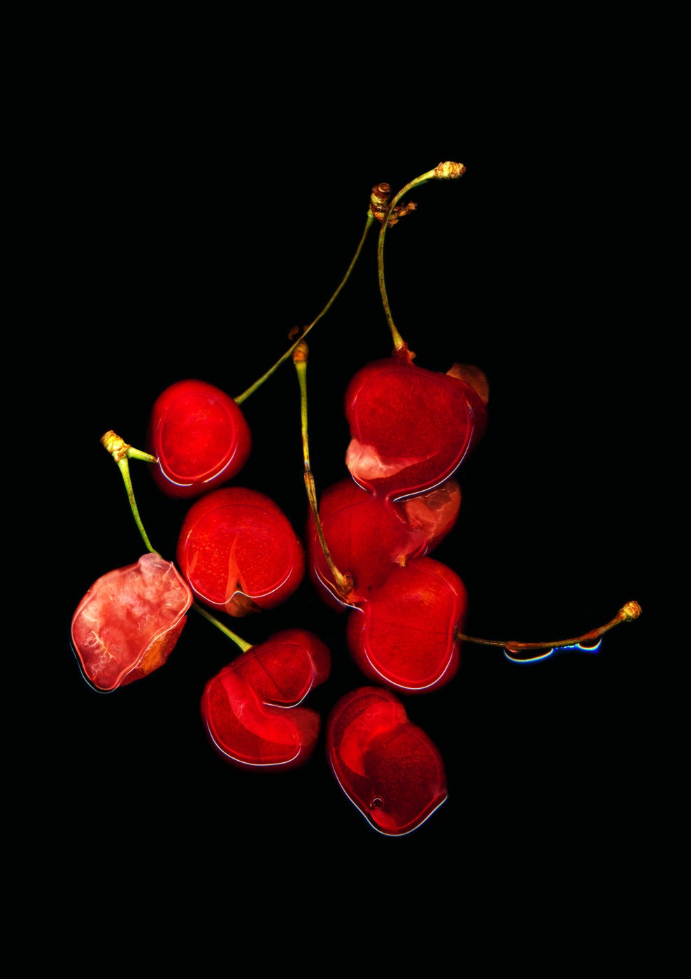 Collection 59 photo by Anne Mason-hoerter