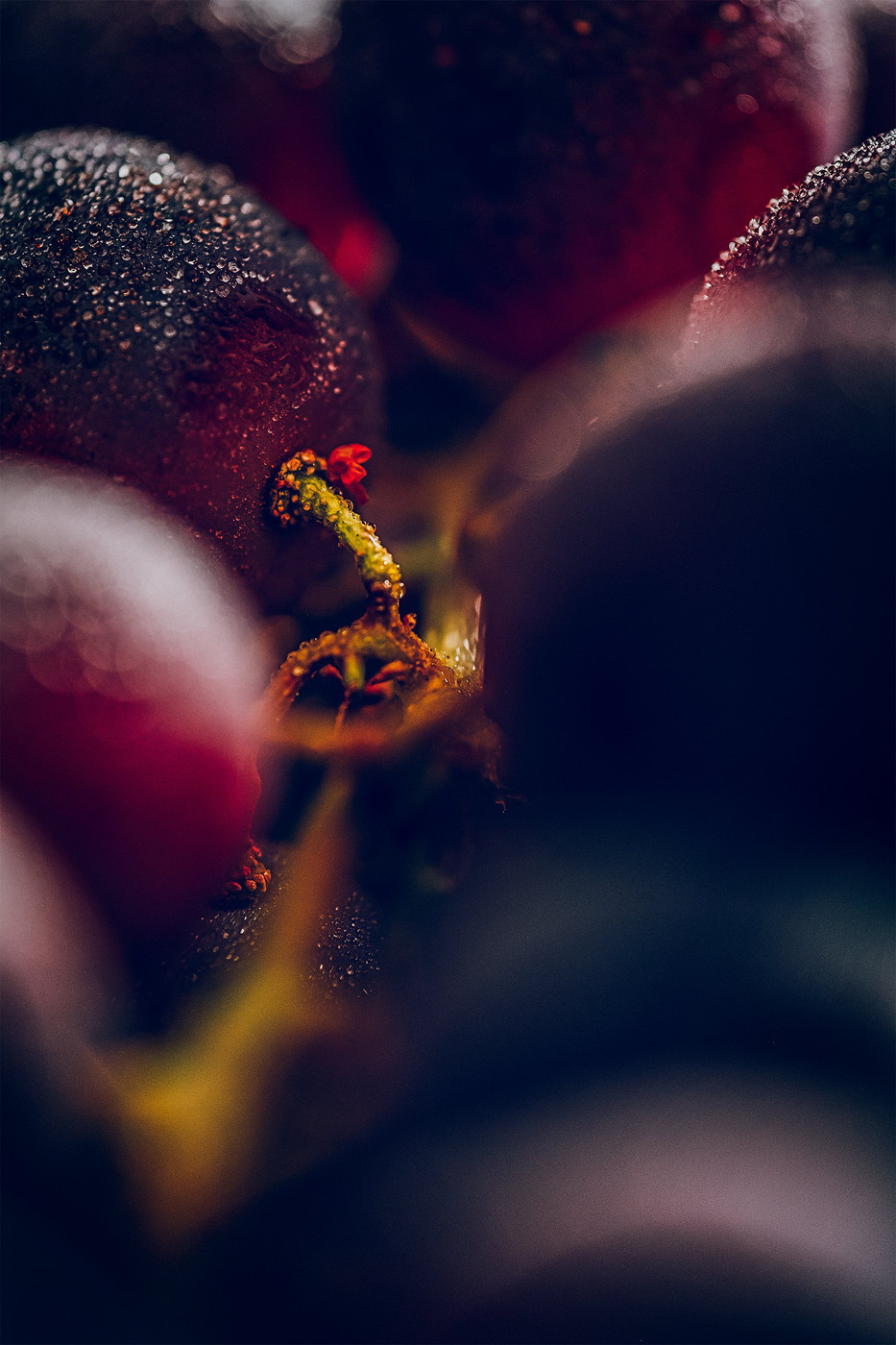 Collection 62 photo by Gary Wilson