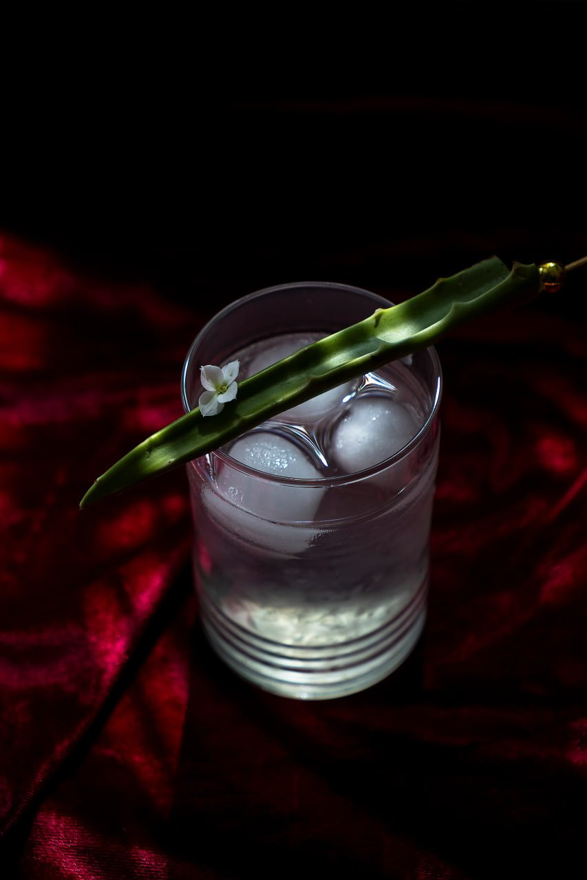 Collection 129 photo by Paria Vaezian