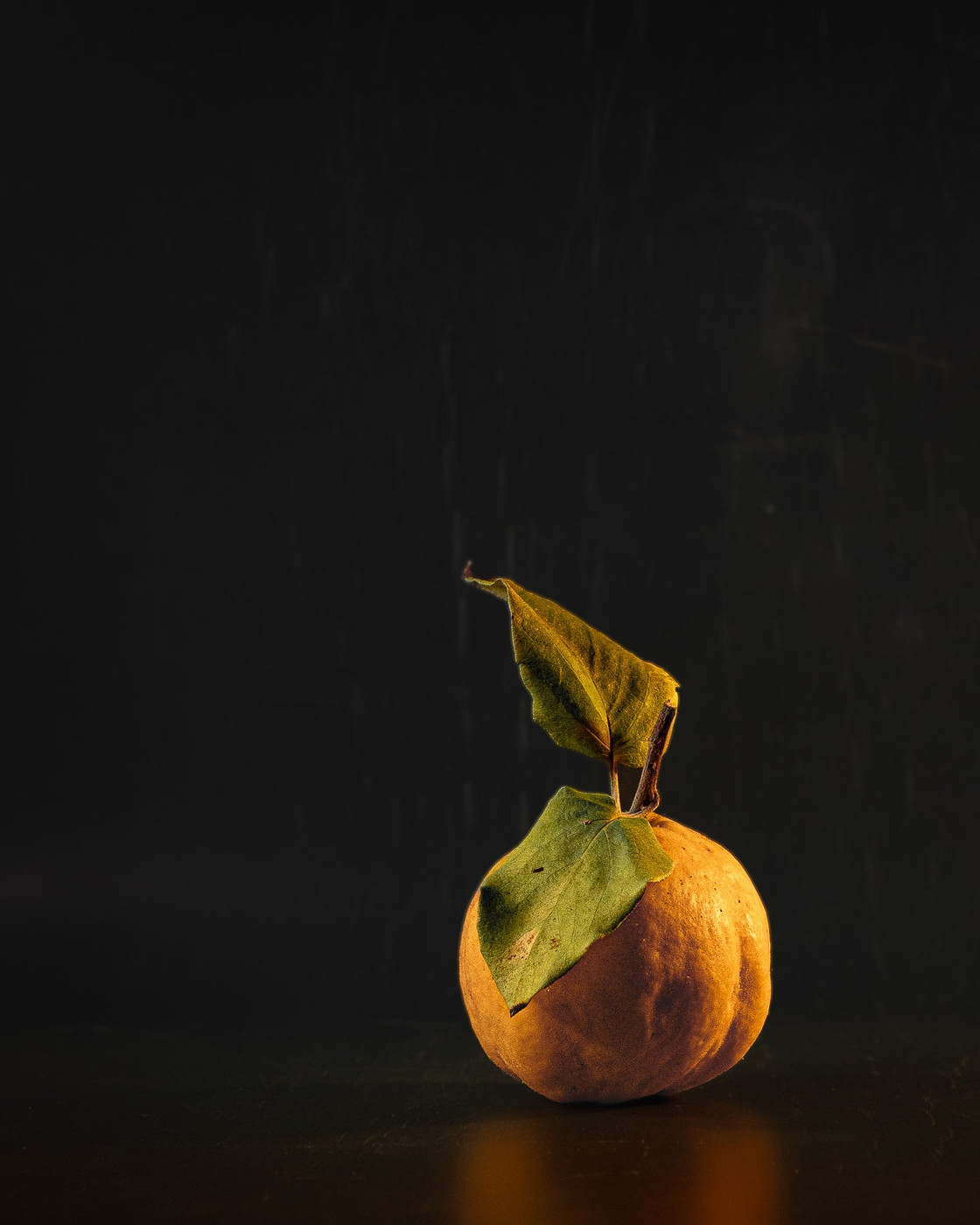 Collection 129 photo by Tiphaine Beausseron
