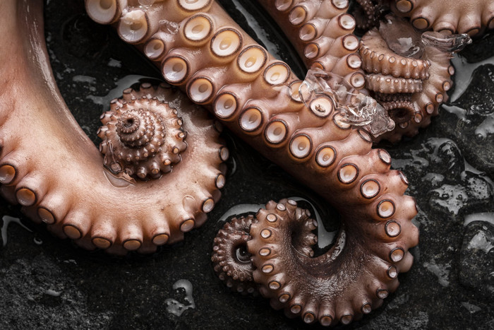 Collection 57 photo by Marco Tortato
