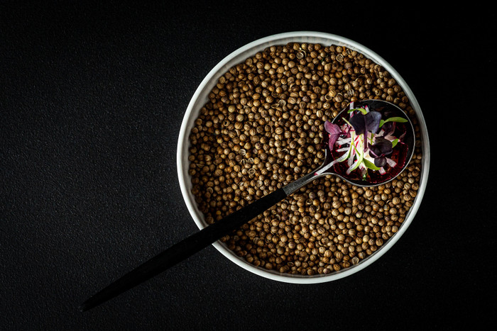 Collection 45 photo by Lyan van Furth