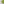 This image highlights the vibrant green matcha on the creamy white panna cotta, with May birth flowers seamlessly blending the two colors.