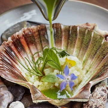 Such a lovely dish from Chef Luke Tipping from Michelin starred Simpsons Restaurant, Birmingham England. Lovely scallop dish with flowers and shells (though I don't think eating the shells is recommended.<br />
<br />
Chef: Luke Tipping @luketipping_ Twitter: @LukeTipping1<br />
Restaurant: Simpsons, Birmingham -IG: @simpsons_restaurant Website: www.simpsonsrestaurant.co.uk<br />
Photographer: @jodihindsphoto www.jodihinds.com