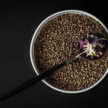 Restaurant: @rest_daalder ⁣⁣ ⁣<br />
Chef: @dennis_huwae ⁣ ⁣<br />
Photo: @lvffood ⁣⁣ ⁣⁣ ⁣⁣<br />
⁣⁣<br />
