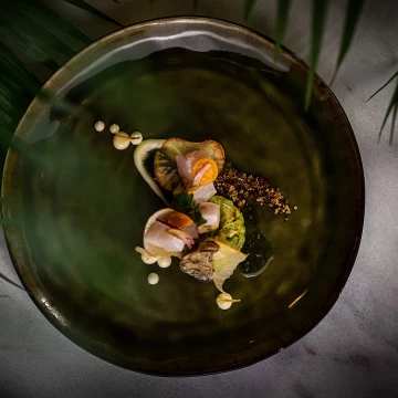 Ceviched Cobia Amazonas | Sugarcane Infusion | Puffed Amaranth | Yuca Crunch | White Bacon Mayo | Coriander Mojo | Eggplant Chip<br />
<br />
@openbluecobia For the sustainable fish and chef @redrockcooking for creating this dish. 