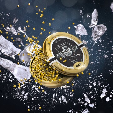 A "crash" of caviar and ice for an explosion of flavor.<br />
Multi-layer technique for this work.<br />
Client: Urbani Truffle- NY<br />
Shoot by Nikon d810+ nikkor 24-70 + Hensel contra flash.