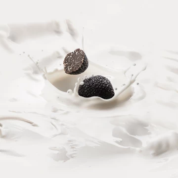 Milk and truffle blend together to create extraordinary recipes such as truffle cheese, truffle cream, truffle chocolate. <br />
 Shot for the customer "Urbani truffles".  Photographed with Nikon D810 and Hensel Contra studio flash lights