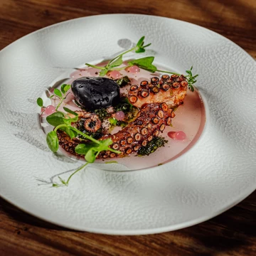 Photo taken during a plating workshop with the outstanding chef Ernest Jagodziński. He showed how to use beautiful Fine Dine plates to present some of the dishes.<br />
<br />
On the plate we have Baked octopus, Basil, pea shoots, olives!<br />
@marcin4funphotos<br />
@chefstablebyernest<br />
@ernest.jagodzinski.7<br />
@finedineeurope<br />
@gastrohouse1<br />
@fotofoodie<br />
@nikon_pl @nikoneurope @nikonusa @godox_global