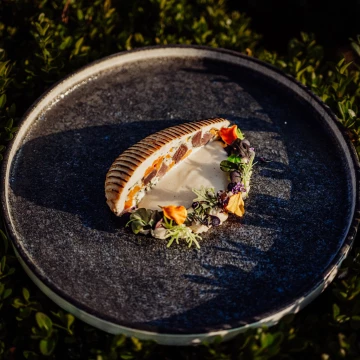 Dish created by chef Mateusz Szpytma <br />
Delicate goose with creamy celery, refreshing sorrel, and velvety velouté. A flavor that combines elegance with nature.<br />
<br />
@marcin4funphotos<br />
@szpytmamateusz<br />
@fotofoodie<br />
@palacbrunow<br />
@nikon_pl @nikoneurope @nikonusa @godox_global