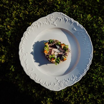 Dish created by chef Mateusz Szpytma 
Guinea fowl /goose stomach/celery/chanterelles/

@marcin4funphotos
@szpytmamateusz
@fotofoodie
@nikon_pl @nikoneurope @nikonusa @godox_global