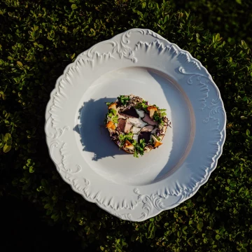 Dish created by chef Mateusz Szpytma <br />
Guinea fowl /goose stomach/celery/chanterelles/<br />
<br />
@marcin4funphotos<br />
@szpytmamateusz<br />
@fotofoodie<br />
@nikon_pl @nikoneurope @nikonusa @godox_global