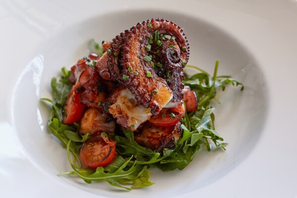 Polipo Warm Octopus, Arugula, Cherry Tomatoes by Angelini Osteria. Diffused window light; Sigma 50mm f/1.4 DG HSM Art. 1/60 sec; f/4.0; ISO 400.