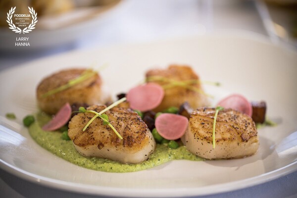Crusted Scallops in a pesto sauce photographed for Top Catch in Boston, MA.  This delicious dish was photographed inside the restaurant using the natural light provided by a large bank of windows.  Styled by Amy Villareale.
