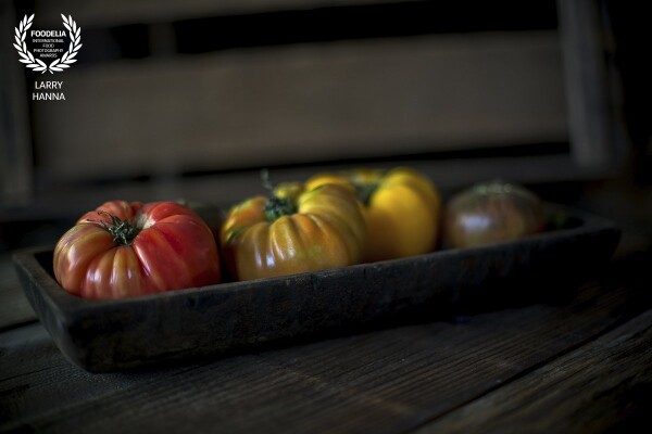 I was admiring the uniqueness of these heirloom tomatoes in the grocery store and wanted to capture their beauty.  I set this up in my kitchen and illuminated the tomatoes with window light.  This image was created for my portfolio and my own enjoyment.