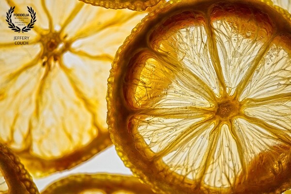 Dehydrated Oranges shot on light box for a series  of  Food Art images. This image was shot with the new Nikon D850 and Nikkor 50mm.