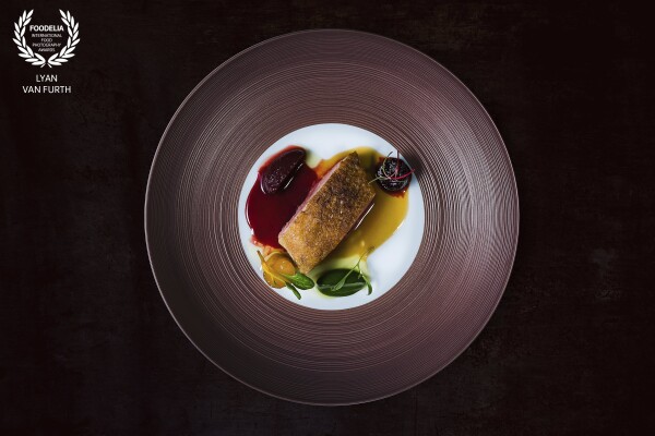 Mieral Duck / Jus union 55 / Creme spinach/lavas / Beetroot⁣<br />
Dish created by master chef Dennis Huwaë of restaurant Daalder in Amsterdam.  Amazing colors, amazing flavors. <br />
<br />
