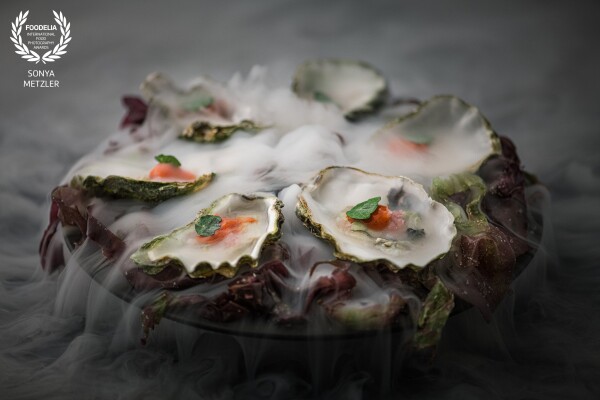 A stunning dish of Six Oysters on dry ice by the amazing chef Victor Garvey <br />
Loved the flow of the dry ice and colors of the seaweed and oysters<br />
<br />
Restaurant - @solasoho in London<br />
