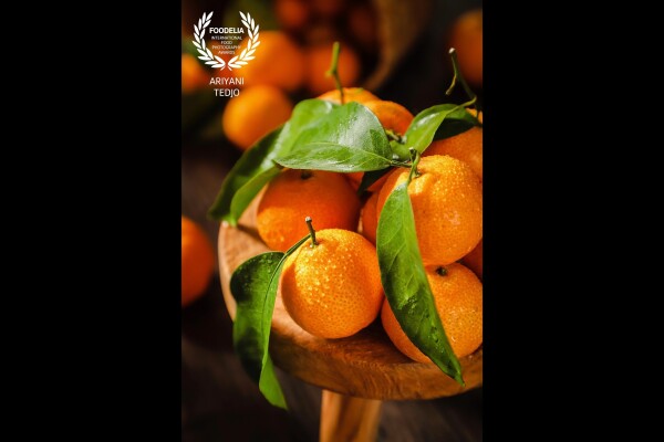 As Lunar New Year is approaching, Mandarin citrus is in abundance as it symbolize fortune. The fruit was sprayed with fresh water and shot closed-up; highlighting its natural beauty.