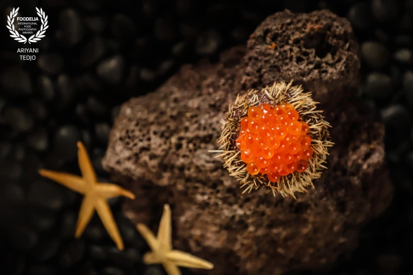 Ikura on the Rock.<br />
This vibrant Japanese roe is a true beauty. I style it with a sea urchin shell, lava rock, star fish and black  stones. I use shallow depth of field then the result makes it look like an underwater showcase. 