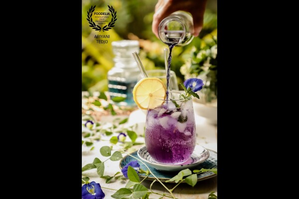 Blue butterfly pea flower is very interesting. Its brilliant blue colour turns purple when mixed with lemon juice. <br />
I made an iced tea drink with this healthy flower tea. I mixed the tea with lemon juice and sugar syrup first; then I poured it onto a glass filled with ice cubes. The fresh butterfly pea vines and blossoms are scattered around the glass.<br />
