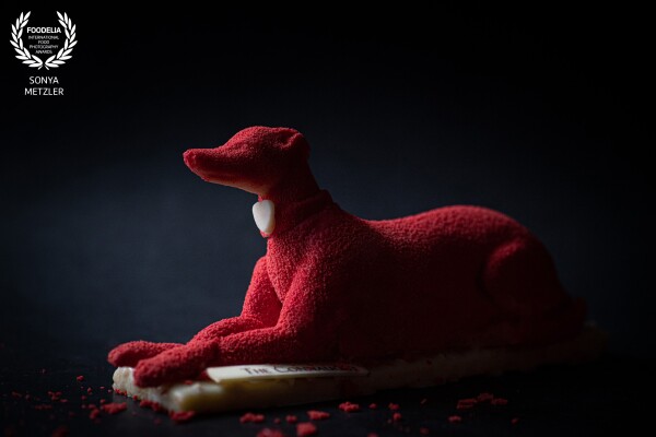 A Masterpiece by pastry chef @nicolasrouzaud and the team at Mayfair's @connaughtpatisserie in London. <br />
Their signature Hound turned Valentine dressed in red with a heart-shaped tag.<br />
Lighting assistant on set @robin_metzler