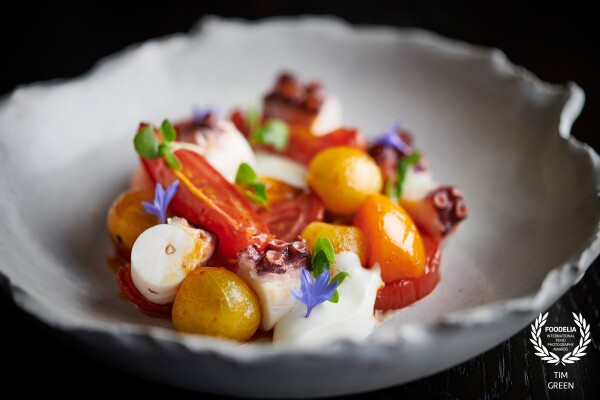 Octopus, Tomato and Harissa, this was one of those dishes, that all the colours worked in harmony, photographed for Adam Handlings Chelsea London Restaurant, based in the exquisite Belmond Cadogan Hotel on Sloane Street
