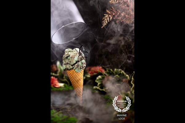 I recently brought a machine that dispenses smoke, so I had to incorporate it into one of my images. This was an image of an ice cream, that is being revealed via a cloche, in a "forest" scene.