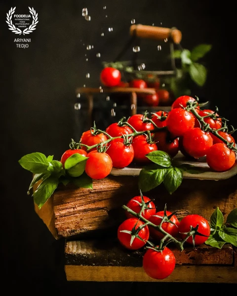 Fresh Cherry Tomatoes sprinkled with fresh water. Some droplets are captured while still in the air above the tomatoes. After the photoshoot, the tomatoes were taken to the kitchen for making Marinara Sauce.