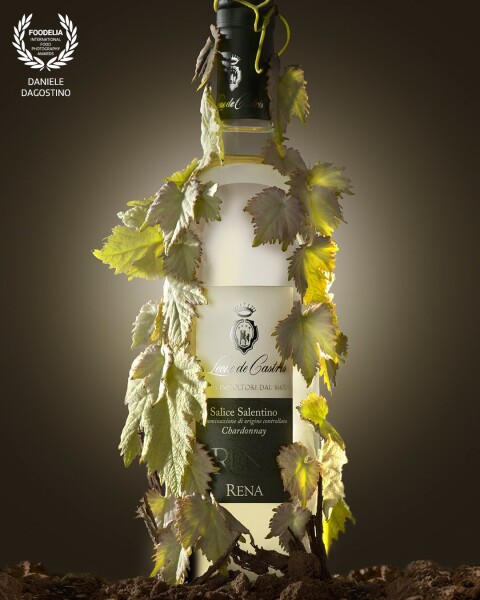 Still Life advertisement for a famous wine brand from southern Italy, Puglia.<br />
The wine photographed is a white "chardonnay" wine