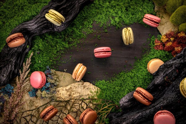 Different colours of Macarons in a logs & moss forest scene. Colours of the Macarons includes pink for strawberry flavours, white for peach, green for macha and brown for chocolate.