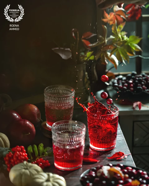 Fresh cranberry juice with a majestic splash.