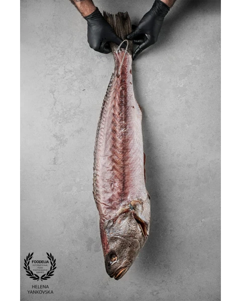 Aged to Perfection: The Art of Dry-Aged Fish

Captured as part of an exclusive series exploring th...