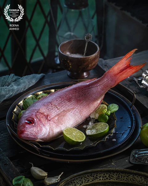 Red snapper