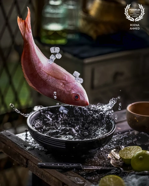 The red snapper pool